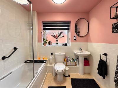 Picture 7